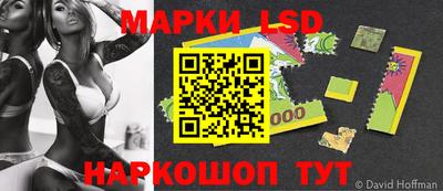 прущие грибы Обнинск