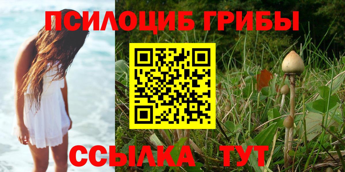 Псилоцибиновые грибы прущие грибы  Вход с VPN  Орск  Галлюциногенные грибы ЛСД 