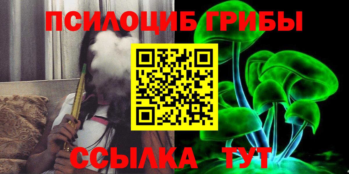 Галлюциногенные грибы Psilocybe Орск